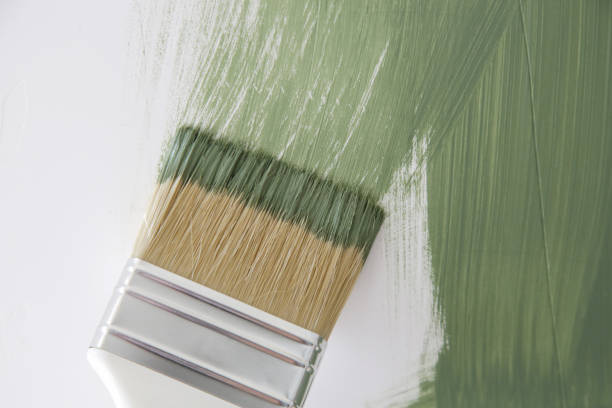 Best Mold Remediation for Healthcare Facilities  in Grace, ID