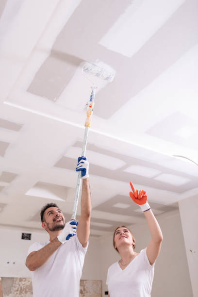 Best Attic Mold Removal  in Grace, ID