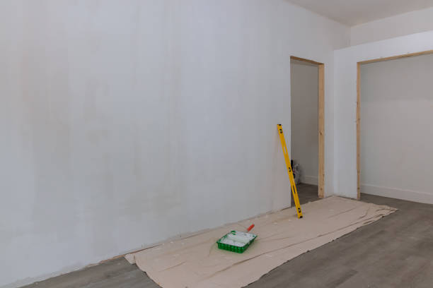 Best Post-Construction Mold Inspection  in Grace, ID