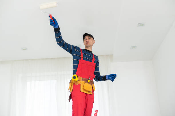 Best Water Damage & Mold Remediation  in Grace, ID