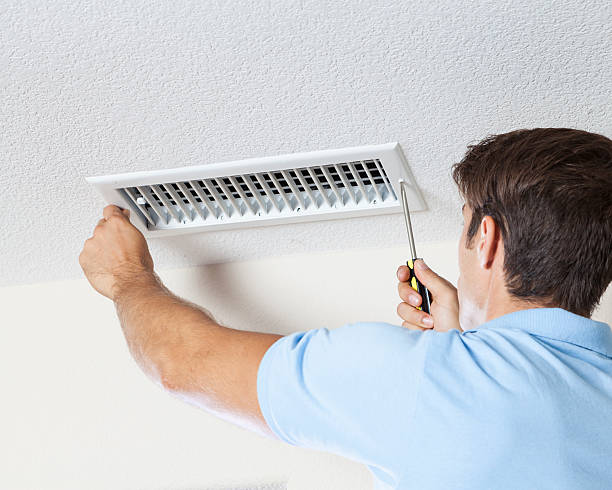 Best Black Mold Removal  in Grace, ID