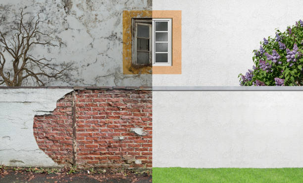Professional Mold Removal in Grace, ID