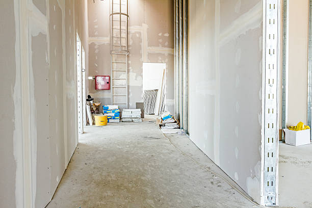 Best Post-Construction Mold Inspection  in Grace, ID